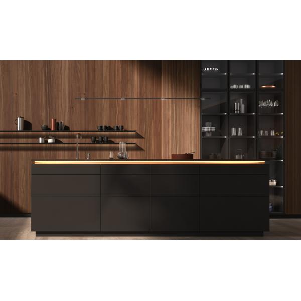 Affordable Wooden Cabinets Kitchen Cabinet Luxury with Veneer and Lacquer Finish