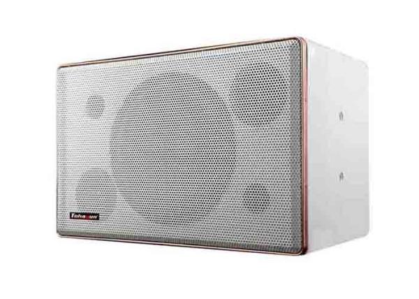haut-parleurs du karaoke 100W 440x240x246mm pour les salles privées petite/moyenne taille