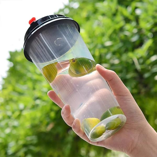 Lesense 90mm Transparent Injection Mould Thick Wall PP Cup with Lid and Straws