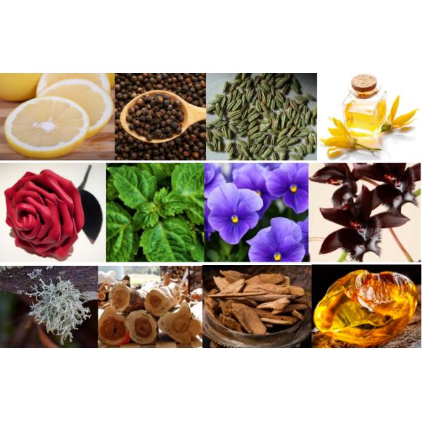 Scented Candles Midnight Orchid Fragrance Essence High Concentrated 