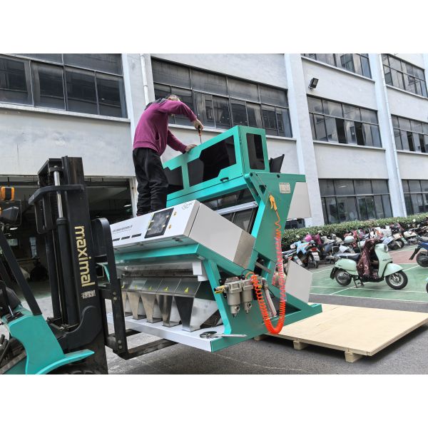 Top Quality Peanut Groundnut Walnut Almond Hazelnut Pistachio Color Sorter Machine From Wenyao China