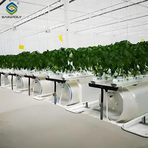 Steel Frame Smart Hydroponic Greenhouse For Tomato Strawberry Planting
