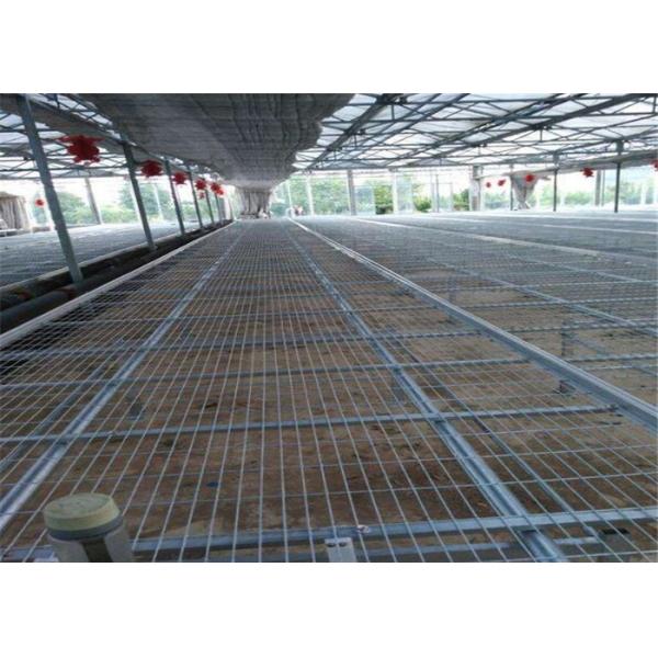 Large Size Greenhouse Rolling Benches Galvanized Frame Cover Materials