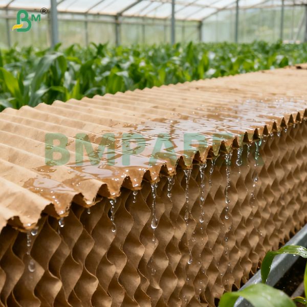 105gsm Brown High - Efficiency Cooling Pad 1000mm Water-Resistant Material for Greenhouses