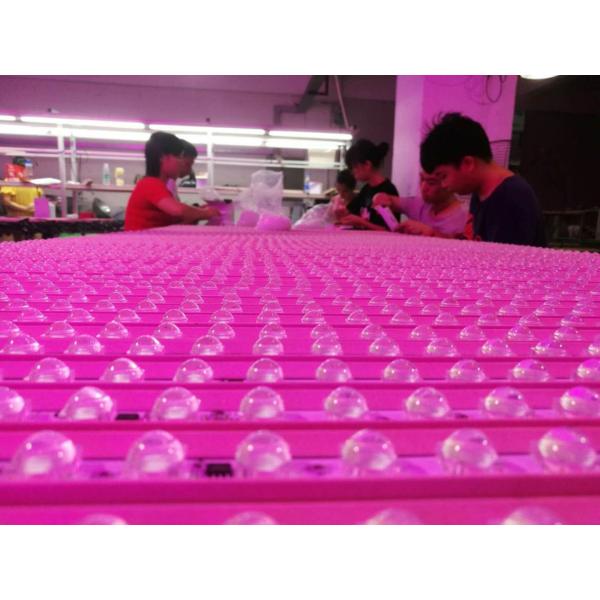 Shenzhen Puwei Light Technology Co., Ltd