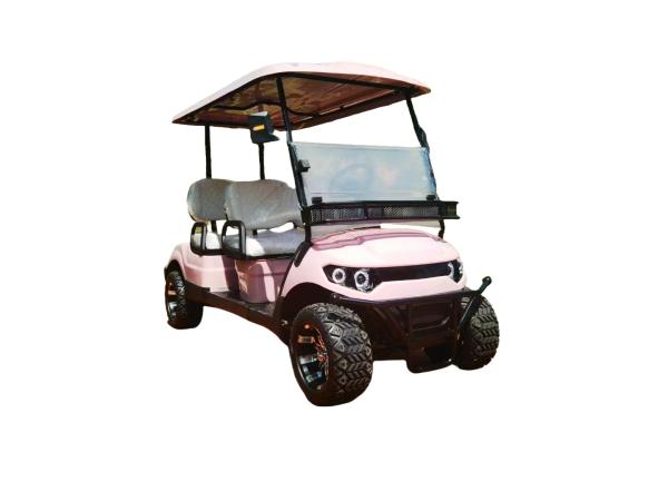 Un chariot de golf à batterie au lithium à double élève peut transporter 4 personnes pour les activités du club de mariage