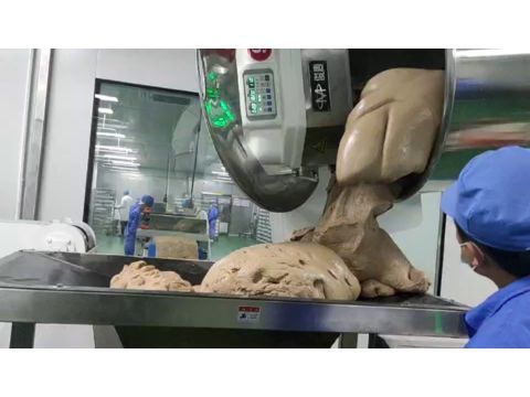 Turnkey Industrial Sandwich Bread Line Featuring Whole Grain Flake Topping System