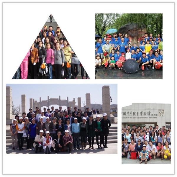 15LB 30g 0.11mm Thickness Tomato Protective Packing Plastic Trays for Fresh Fruit and Vegetable Best Selling Canada and Mexico