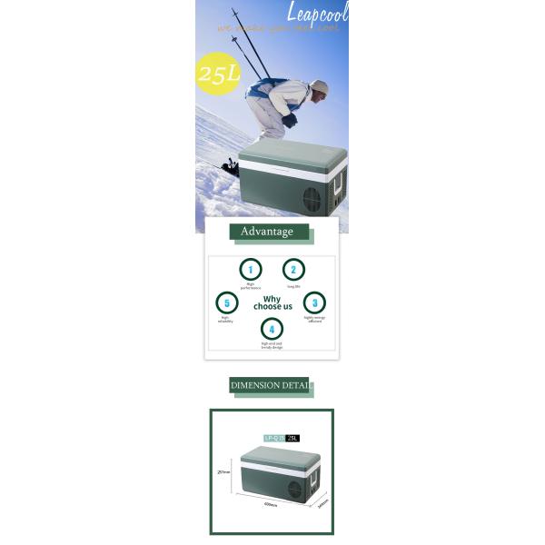 Регулируемый по температуре 12В 24В портативный автомобиль Малый холодильник 25Л Путешественный мини-холодильник