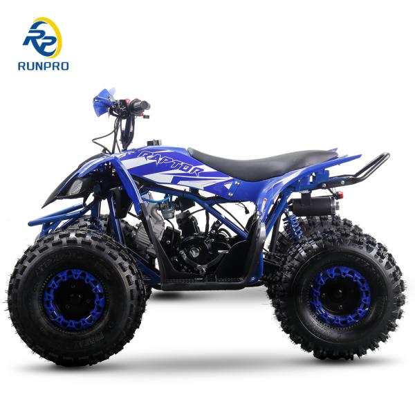 Powerful 125cc Gas Fuel ATV Quads with 2WD Driving Type and Interesting Features