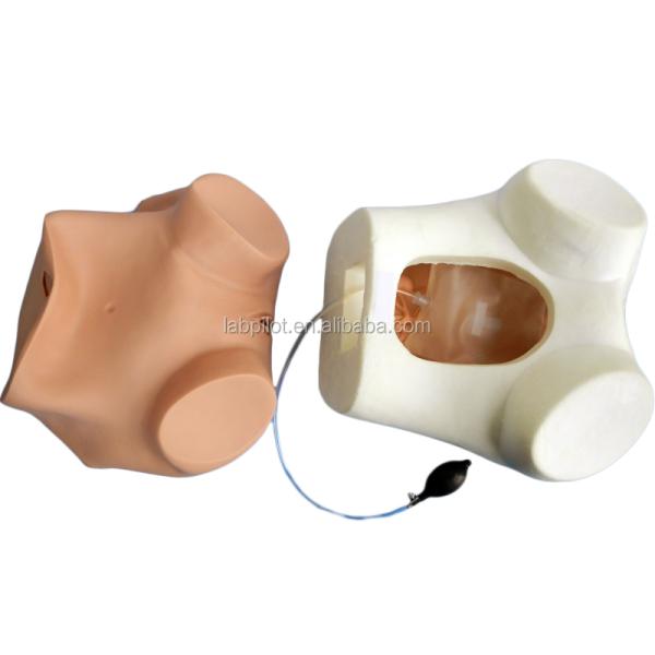 Manikin for Multi-functional Gynecologist Nursing Training Vaginal Examination Model