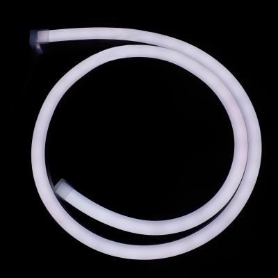 Club Ra80 Neon Flexible Strip Light 6000k Color Changing Led Neon Rope
