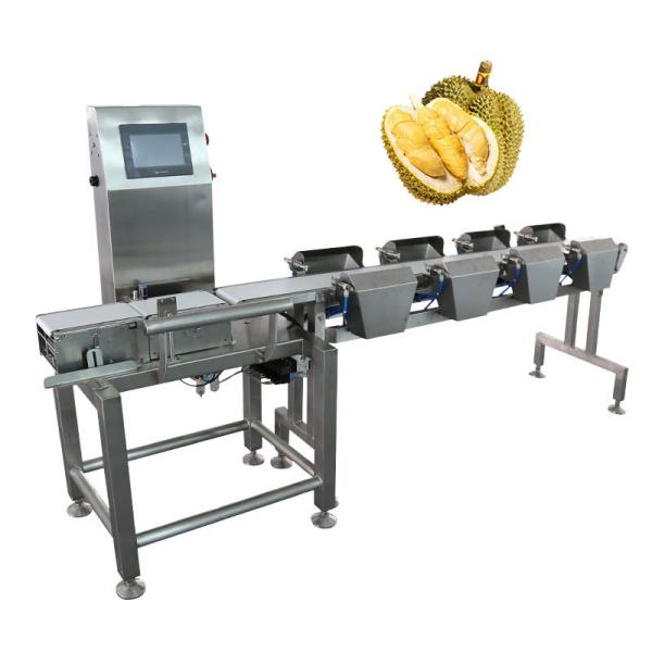 Multi Stage Durian Pulp Fruit Scale