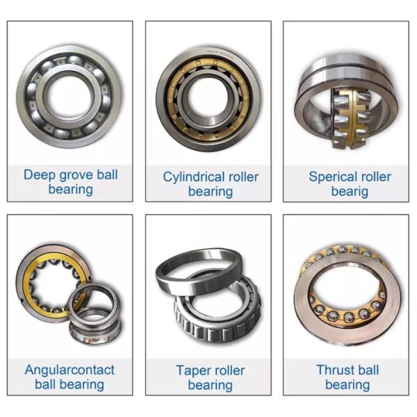 NN3016 Cylindrical Full Complement Roller Bearing NN 3016 KTN/SP NN3016K
