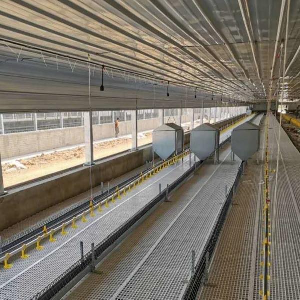 Maison en acier résistant aux intempéries en acier / bâtiment en acier pour volaille