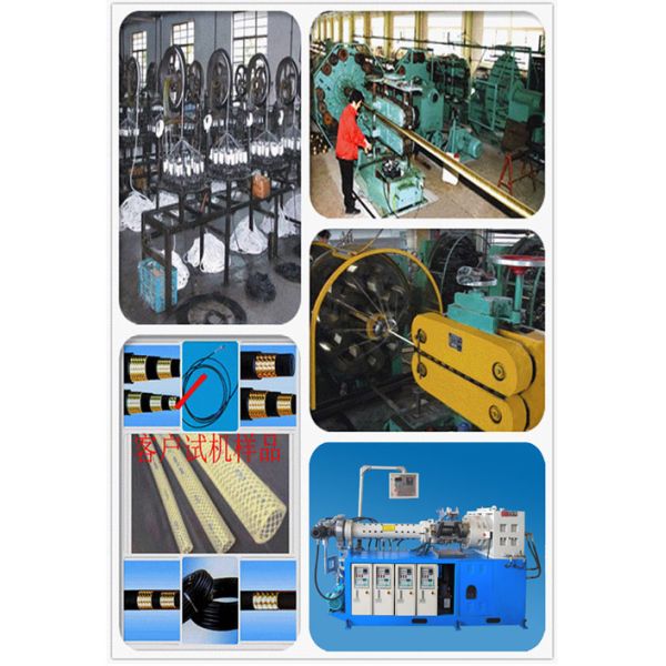 Factory Direct Supply Rubber Profiles Extrusion Line with Cold Feed Design Multi-row Pins and Low Extrusion Temperature