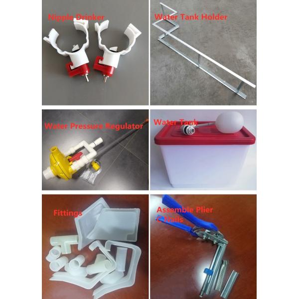 3/4 tier A Type Chicken Cage Chicken Egg Layer Cage For Poultry Farms