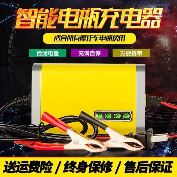 Microprocessor Control Travelscoot Battery Charger CE Input AC 180-220V 50Hz