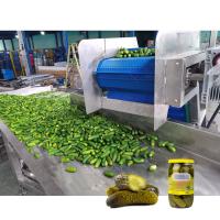 Linha de produção de pepinos em conserva em conserva Linha de processamento de pepinos em conserva