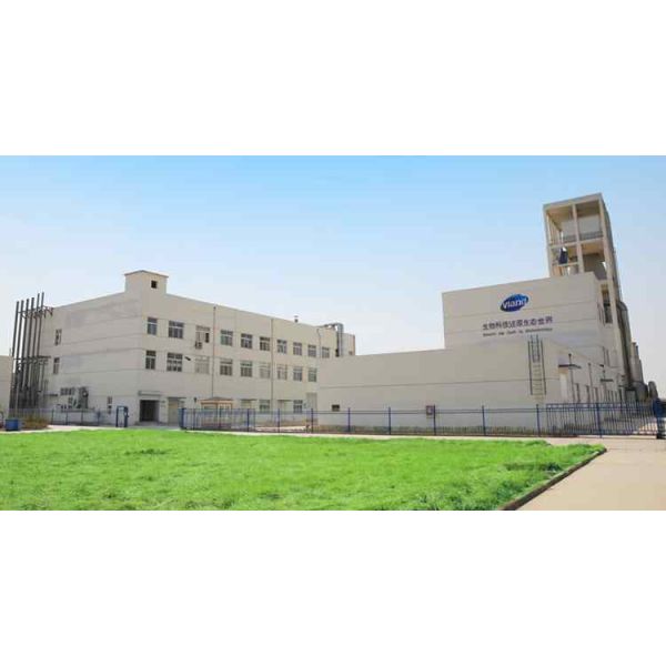 High Purity Alkaline Protease Detergent Enzyme Powder with 12 Months Shelf Life in 25kg Paper Box