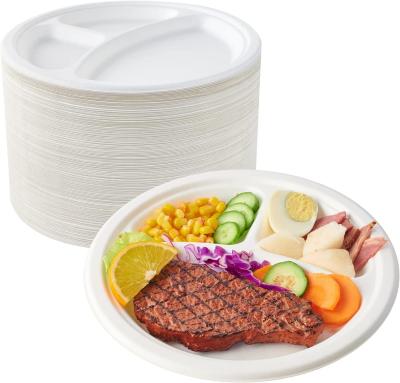 O partido Compostable de 9 polegadas chapeia o material do bagaço da cana-de-açúcar impermeável