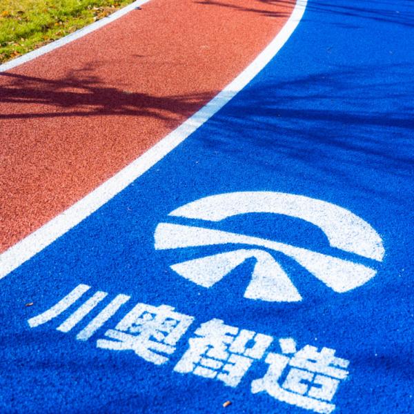 Quick-install Prefabricated Rubber Jogging Track Prefabricated Running Track with Rubberized Track Surface