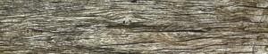 Wood texture