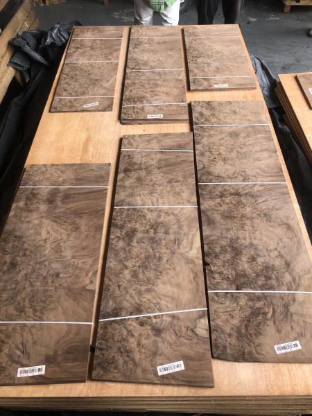 Walnut Burl Veneer | 0.45mm | LINGFENG
