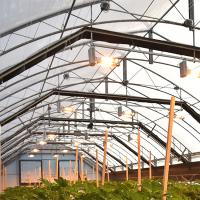 Serre de système automatique de pe de panne d'électricité à portée unique d'agriculture pour des légumes et des fleurs