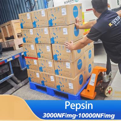 Aliments et médicaments Enzyme de pepsine 3000NF/mg Poudre jaune clair