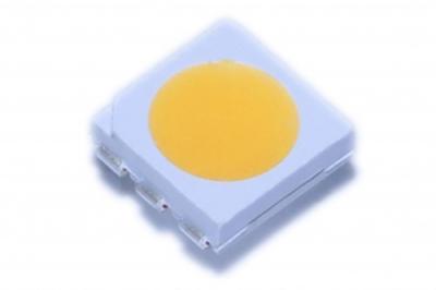 PLCC - o pacote 6 5050 séries da cor branca conduziu o diodo luminescente com CRI > 80