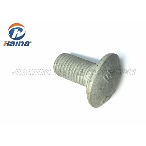 Hot forging Large Head Plated Coarse Thread Square neck Carriage Bolt