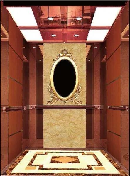 ORIA Affordable and Safe Comfortable and Silent passenger elevator