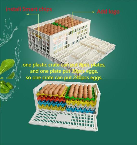 PE/PP Mesh Style Collapsible Egg Crate Moving Tote Box for Eggs Storage and Transport