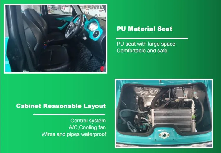 Raysince new design Adult electric car with right hand drive steering