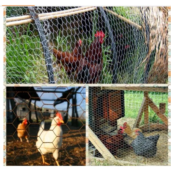 Порошок покрыл ячеистую сеть наговора 6x6 для клетки рыб