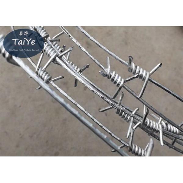 Customize Single Coil Security Barbed Wire Anti Rust Used In Highway Fencing