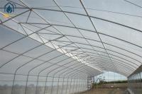 Serre à longue portée personnalisable 5m - 12m de largeur avec système d'irrigation à goutte à goutte