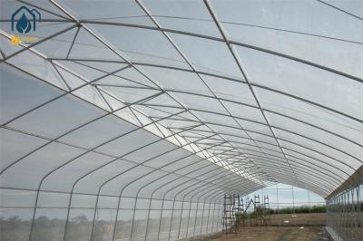 Serre à longue portée personnalisable 5m - 12m de largeur avec système d'irrigation à goutte à goutte