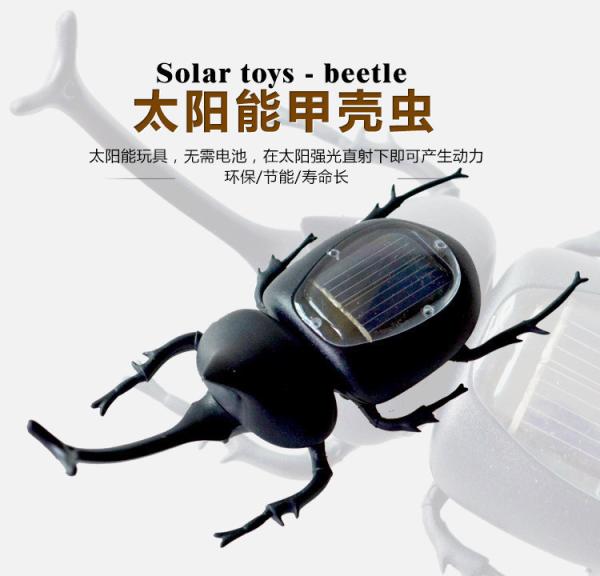 Durable Compact Solar Beetle Educational Toys For Kids Learning