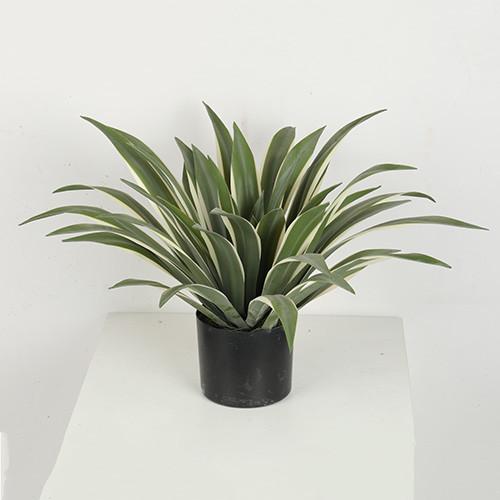 36 agave artificial Americana do CM 40 CM 60 CM