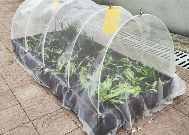 50 Mesh Ultra Fine Insect Mesh Netting For Plants Flower Fruits Protection