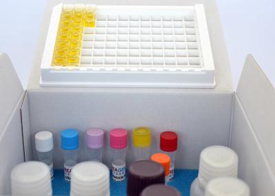 Dioxin / Furan ELISA Kit Pollution Test Kit For Fish / Shrimp / Meat Sample