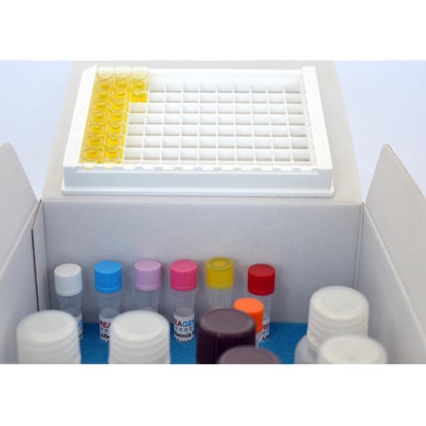 Dioxin / Furan ELISA Kit Pollution Test Kit For Fish / Shrimp / Meat Sample