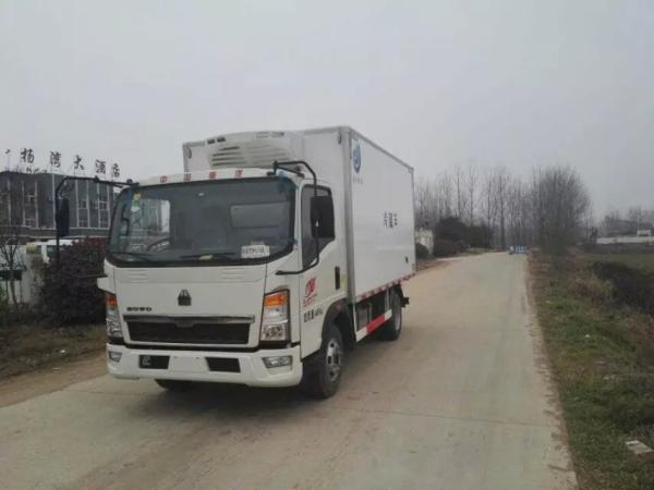 Caixa centígrada de Refrigerador Caixa Van WD615.62 Japona para o camionete