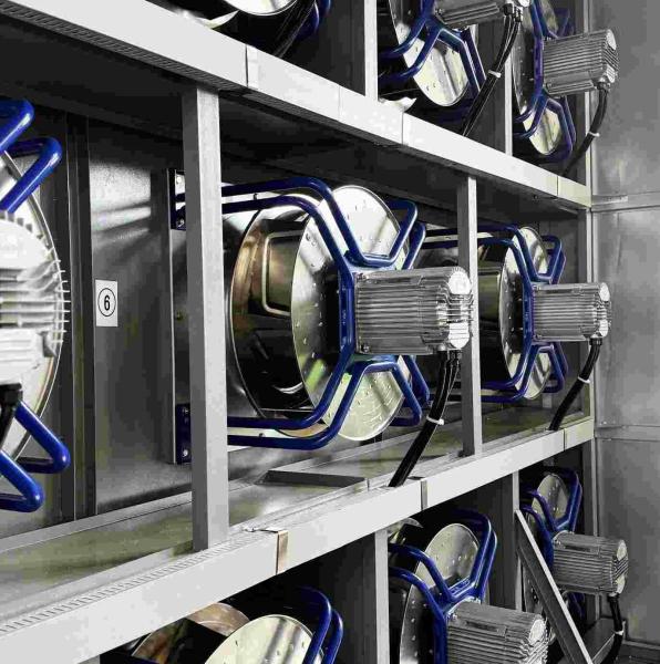 Professional Healthcare Rapid Sterilization Channel Remove Bacteria