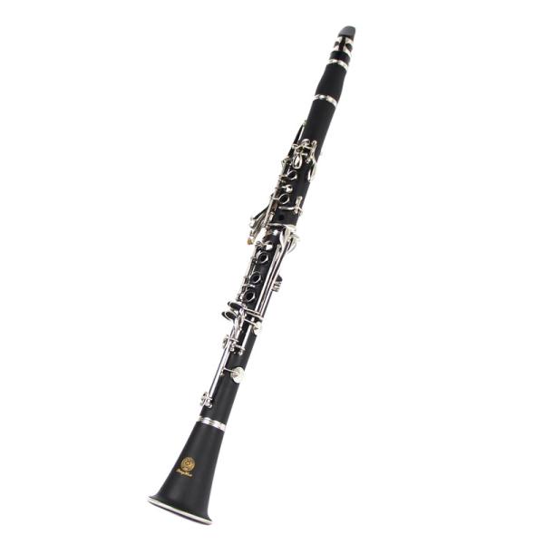 constansa instrumentProfessional Performance Level Ebony Wood Silver Plated 18 Keys 4 Rings G Tone German Style Clarinet