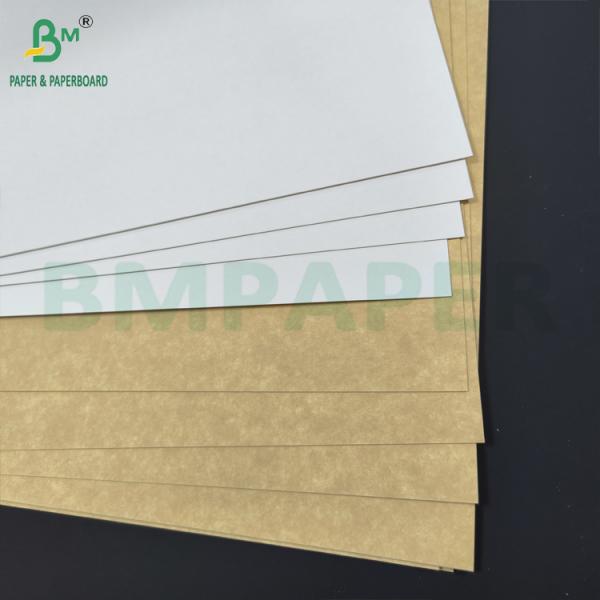 Fully Pigment Coated Multilayer kraft back board 275gsm Top White