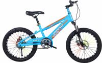 Cadre à queue douce Mtb 20 pouces VTT avec freins à disque Suspension avant