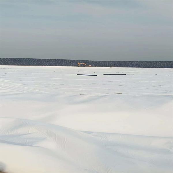 PP/ PET Geotextile 100g/sqm-800g/sqm Short Fiber Non-Woven Geotextile for Construction